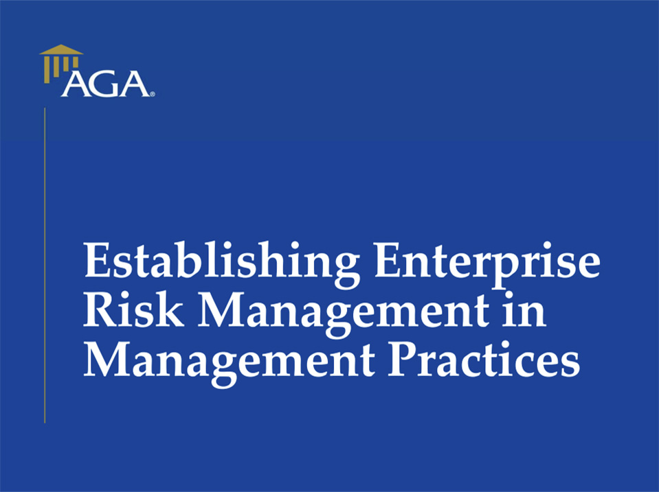 Establishing ERM in Management Practices